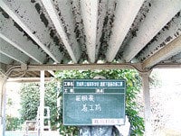 茨城県立境高等学校渡廊下塗装改修